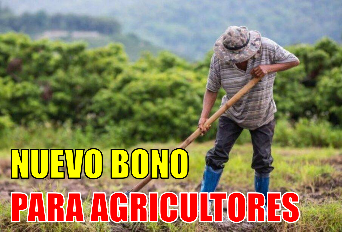 Nuevo bono de 800 dólares para agricultores